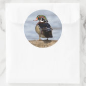 Wood Duck Male on log in wetland Runder Aufkleber (Tasche)