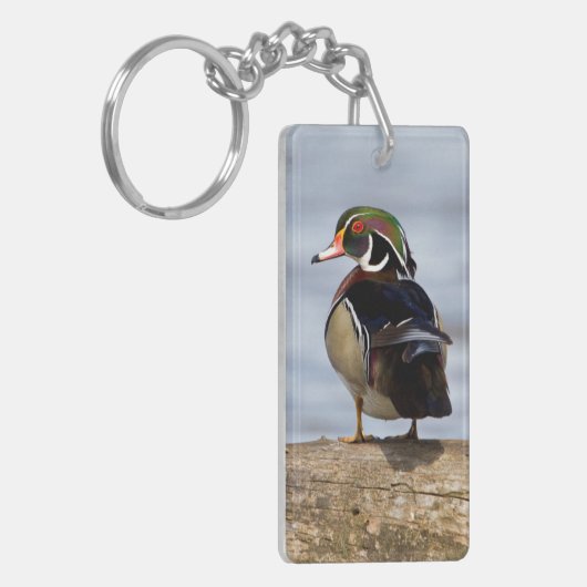 Wood Duck Male on log in wetland Schlüsselanhänger (Vorderseite links)