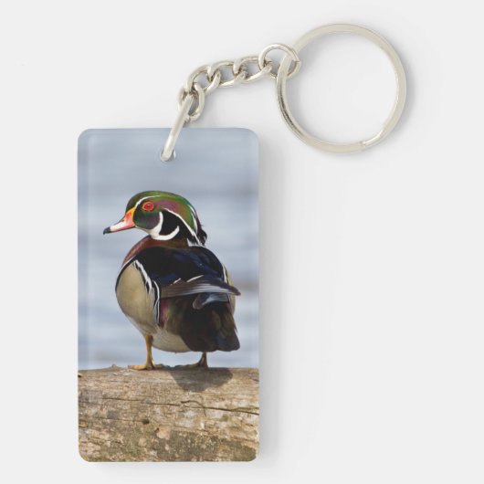Wood Duck Male on log in wetland Schlüsselanhänger (Rückseite)