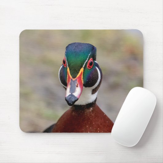Wood Duck Mousepad (Mit Mouse)