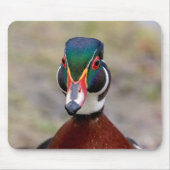 Wood Duck Mousepad (Vorne)