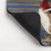 Wood Duck Mousepad (Ecke)
