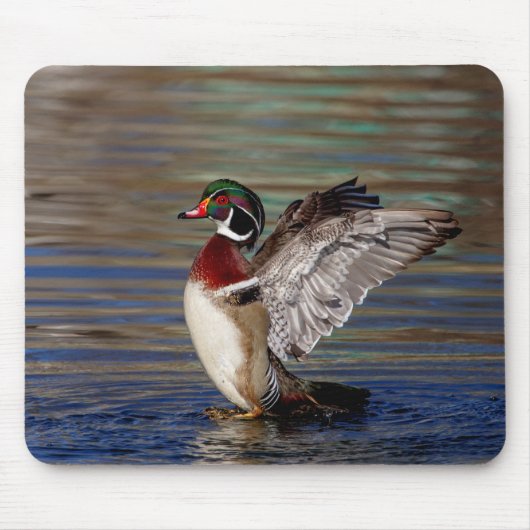 Wood Duck Mousepad (Vorne)