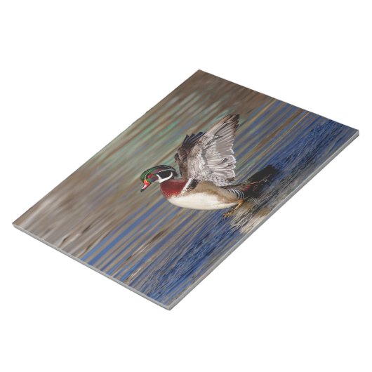 Wood Duck Notizblock (angewinkelt)