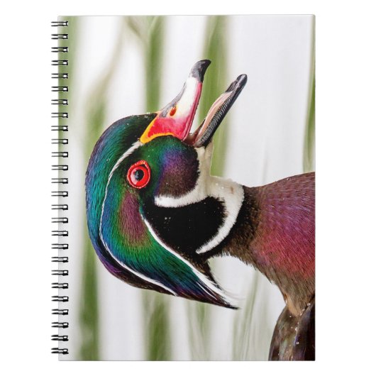 Wood Duck Notizblock (Vorderseite)