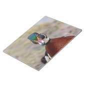 Wood Duck Notizblock (angewinkelt)