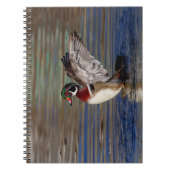Wood Duck Notizblock (Vorderseite)