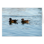 Wood Duck Pair (Vorderseite (Horizontal))