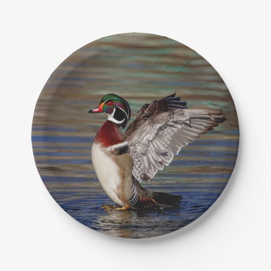 Wood Duck Pappteller (Vorderseite)