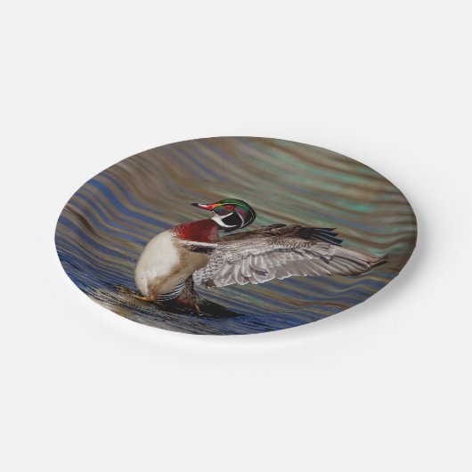 Wood Duck Pappteller (Schrägansicht)