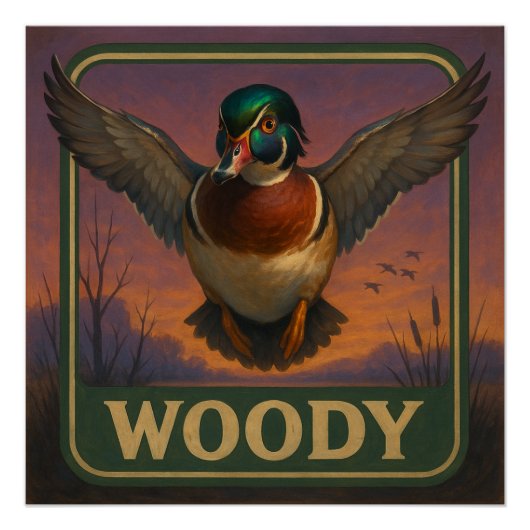 Wood Duck Poster (Vorderseite)