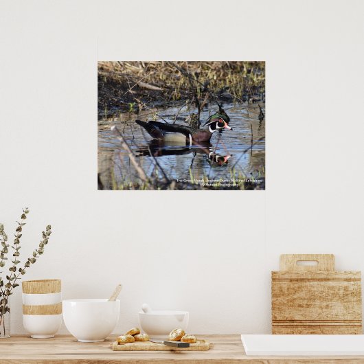 Wood Duck Poster (Küche)
