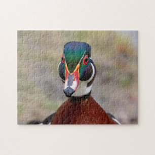 Wood Duck Puzzle