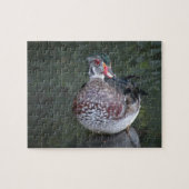 Wood Duck Puzzle (Horizontal)