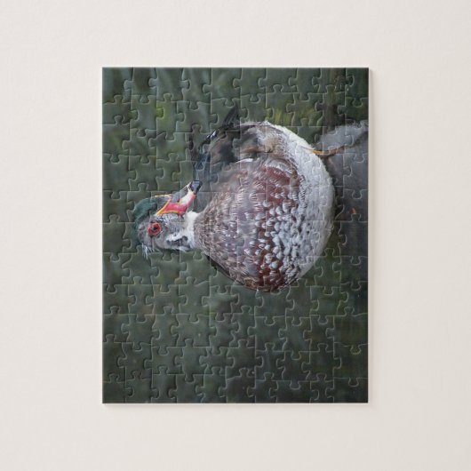 Wood Duck Puzzle (Vertikal)