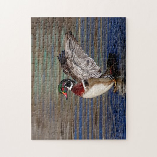 Wood Duck Puzzle (Vertikal)