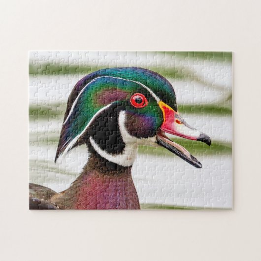 Wood Duck Puzzle (Horizontal)