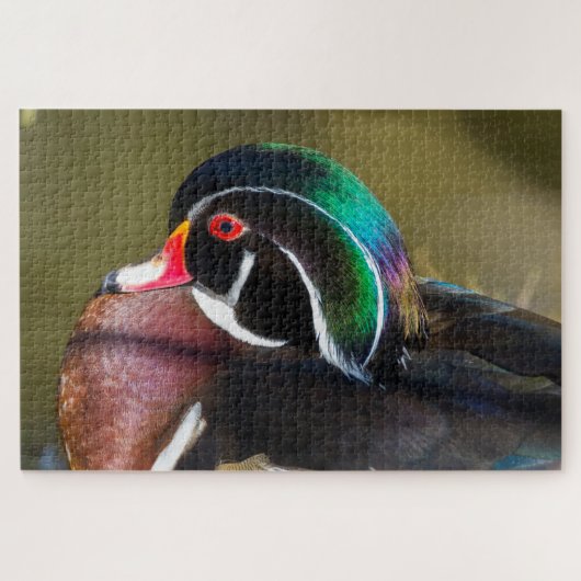 Wood Duck Puzzle (Horizontal)