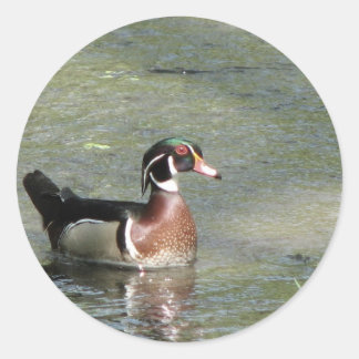 Wood Duck Runder Aufkleber