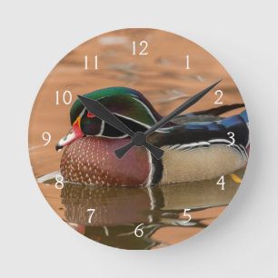 Wood duck swimming in water runde wanduhr