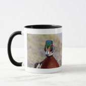 Wood Duck Tasse (Links)