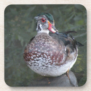 Wood Duck Untersetzer