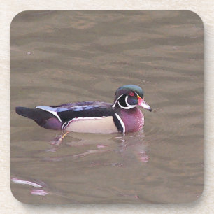 Wood Duck Untersetzer