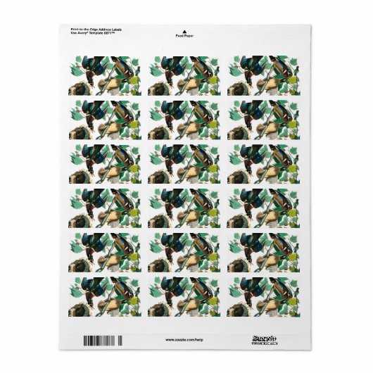 Wood Duck von John James Audubon Adressaufkleber (Vorne)