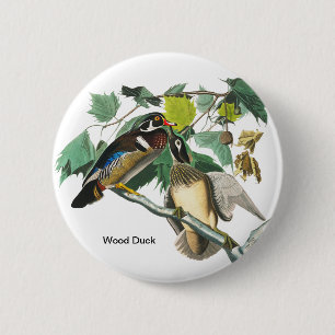 Wood Duck von John James Audubon, Birdwatcher Bird Button
