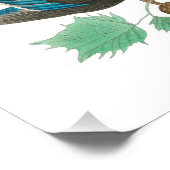 Wood Duck von John James Audubon Fotodruck (Ecke)