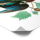 Wood Duck von John James Audubon Poster (Ecke)