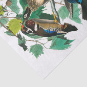 Wood Duck von John James Audubon Seidenpapier (Ausschnitt)