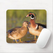 Wood Ducks and Female on log in wetland Mousepad (Mit Mouse)