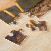 Wood Ducks and Female on log in wetland Puzzle (Seite)