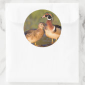 Wood Ducks and Female on log in wetland Runder Aufkleber (Tasche)