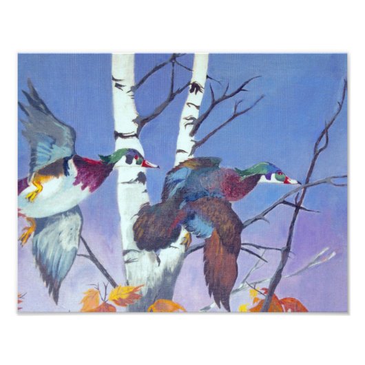 Wood Ducks Flying Fotodruck (Vorne)