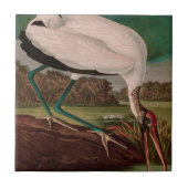 Wood Ibis Birds of America Audubon Print Fliese (Vorderseite)