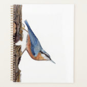 Wood Nuthatch Bird (Sitta Europaea) Planer (Vorderseite)