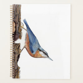 Wood Nuthatch Bird (Sitta Europaea) Planer