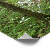 Wood Nymph Poster (Ecke)