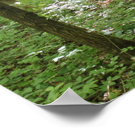 Wood Nymph Poster (Ecke)