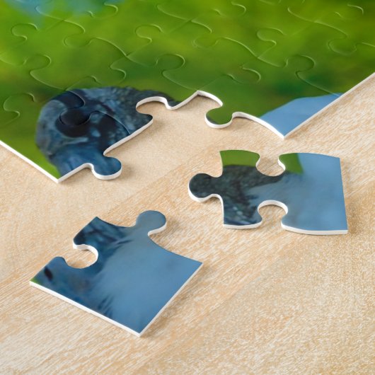 Wood Stork Florida Puzzle (Seite)