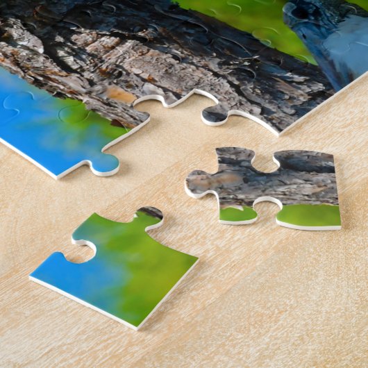 Wood Stork Florida Puzzle (Seite)