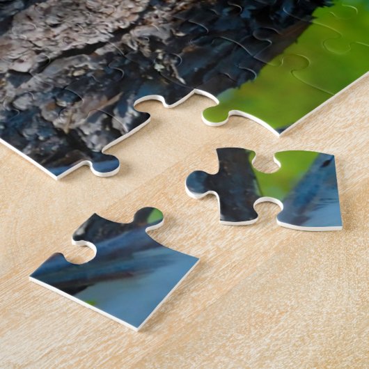 Wood Stork Florida Puzzle (Seite)