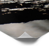 Wood Stork in The Wild Poster (Ecke)