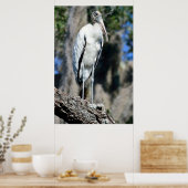 Wood Stork in The Wild Poster (Küche)