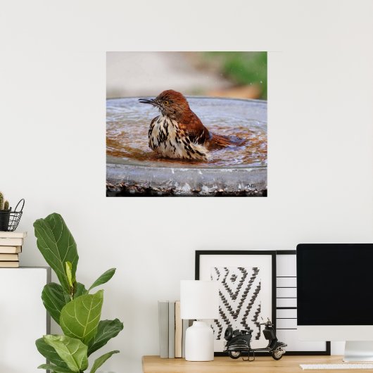 Wood Thrush Poster (Heimbüro)