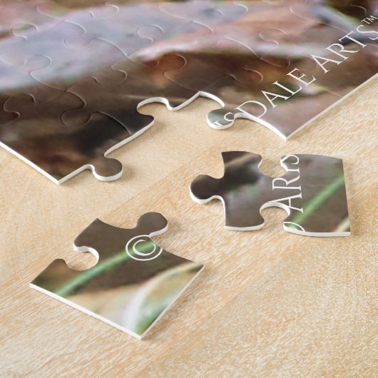 Wood Thrush Puzzle (Seite)