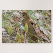 Wood Thrush Puzzle (Horizontal)