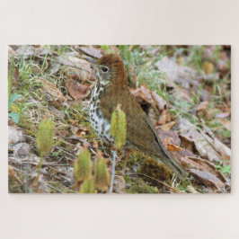 Wood Thrush Puzzle